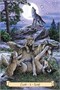 Карты Таро "Everyday Witch's Familiars Oracle" Llewellyn / Фамильяры Повседневной Ведьмы - Оракул 1341615969