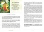 Карты Таро "The Westwood Tarot Cards" Schiffer Publishing / Карты Таро Вествуда 345035441