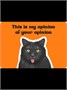 Карты Таро "Cattitude cards deck" Rockpool / Колода карт сообразительности 2000377287