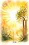 Карты Таро "Sweet Blossom Lenormand" AGM Urania / Сладкий цветок Ленорман 1099674430