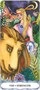Карты Таро "Borderless Tarot of a Moon Garden" US Games / Таро Лунного Сада без Границ 646854698