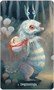 Карты Таро "Wisdom of the Wild Things Oracle Cards" US Games / Карты-Оракулы мудрости диких тварей 1777294148