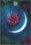 Карты Таро "Herbs and Plants Lenormand Oracle" Lo Scarabeo/ Травы и Растения Ленорман Оракул Ло Скар 1488415267