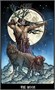 Карты Таро The Slavic Legends Tarot - LIMITED EDITION Size 14cm, Taroteca / Славянские Легенды, Лими 951189359