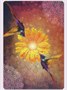 Карты Таро "Hummingbird Wisdom Oracle Cards" Red Feather / Оракул мудрости колибри 420214111
