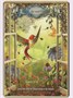 Карты Таро "Hummingbird Wisdom Oracle Cards" Red Feather / Оракул мудрости колибри 420214111