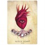 Карты Таро "Anatomy of a Witch Oracle Cards" Llewellyn / Оракул Анатомия Ведьмы 1286318866