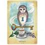Карты Таро "Anatomy of a Witch Oracle Cards" Llewellyn / Оракул Анатомия Ведьмы 1286318866