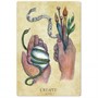 Карты Таро "Anatomy of a Witch Oracle Cards" Llewellyn / Оракул Анатомия Ведьмы 1286318866