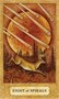 Карты Таро "Chrysalis Tarot Deck Book Set" US Games / Набор книг и колода Хризалис 1646405962