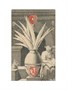 Карты Таро "Oracular Cards of Change" Lo Scarabeo / Оракул Перемен 719464286