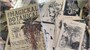 Магический ботанический журнал / The Magical Botanical - Journal 1649011321