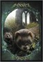Карты Таро "Witches Familiars Oracle Cards" Solarus / Ведьмы Фамильяры Карты Оракула 293115188