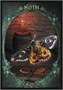 Карты Таро "Witches Familiars Oracle Cards" Solarus / Ведьмы Фамильяры Карты Оракула 293115188
