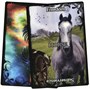 Карты Таро "Animal Guidance & Aspects Oracle Cards" Solarus / Руководство по Животным и Аспекты Кар 605252884