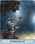Карты Таро "Gentle Creatures Wisdom Deck" US Games / Мудрость Нежных Созданий 1199646501