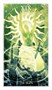 Карты Таро "Butler Healing Light Tarot" Lo Scarabeo / Таро Исцеляющего Света 535086809