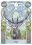 Карты Таро "Celtic Astrology Oracle" Lo Scarabeo / Кельтский Астрологический Оракул 1425554869