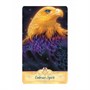 Карты Таро "Messenger Oracle - Anniversary Edition" Blue Angel / Оракул Посланий - Второе Издание 1552903674