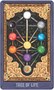 Карты Таро "Oracle of Ascendance" US Games / Оракул Превосходства 2055469386