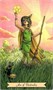 Карты Таро "Everyday Witch Tarot" Llewellyn / Повседневное Таро Ведьмы 1582268745