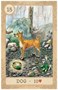 Карты Таро "Fairy Tale Lenormand in a Tin" US Games / Сказочное Ленорман 2116452509