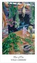 Карты Таро "The Herbcrafter's Tarot" US Games / Карты Таро Травника 762524592