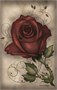 Карты Таро "Under the Roses Lenormand" US Games / Ленорман под розами 912949402