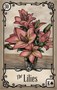 Карты Таро "Under the Roses Lenormand" US Games / Ленорман под розами 912949402