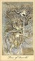 Карты Таро "Ghosts and Spirits Tarot" US Games / Колода Призраков и Духов 105417567