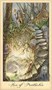 Карты Таро "Ghosts and Spirits Tarot" US Games / Колода Призраков и Духов 105417567