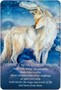 Карты Таро "Spirit of the Animals" US Games / Духи Животных 126455353