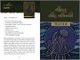 Карты таро "The Wild Elemental Oracle" RED Feather / Оракул Дикой Стихии 485905397