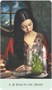 Карты Таро "Weeds & Witches Oracle" US Games / Оракул сорняков и ведьм 1117795759