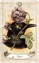 Карты Таро "Old Style Oracle" US Games / Оракул Старого Стиля 1377413863