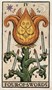 Карты Таро "Trionfi Della Luna Tarot " US Games / Таро Трионфи Делла Луна 1380279120