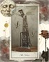 Карты Таро "Horror Circus Tarot" Ambrosia / Таро Цирка ужасов 1284327677