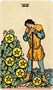 Карты Таро "Smith-Waite Tarot Deck Borderless Miniature Edition" US Games / Миниатюрное издание коло 1713938629