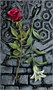 Карты Таро "Tarot of the Vampires" Llewellyn / Таро Вампиров 46959221