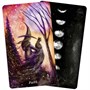Карты Таро "Earthly Souls & Spirits Moon Oracle Deck" US Games / Земные души и духи Карты Лунного Ор 779596196
