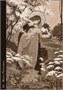 Карты Таро "Divine Light Oracle Cards" Lo Scarabeo / Карты Оракула Божественного Света 1103571281