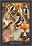Карты Таро "Guardian of the Night Tarot Cards" Hay House / Карты Таро Страж Ночи 195908081