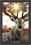Карты Таро "Guardian of the Night Tarot Cards" Hay House / Карты Таро Страж Ночи 195908081