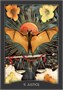Карты Таро "Guardian of the Night Tarot Cards" Hay House / Карты Таро Страж Ночи 195908081
