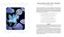 Карты Таро "Dream your Joy Oracle Cards" Schiffer Publishing/ Карты Оракул Мечтай о своей радости 335732204