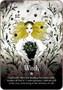Карты Таро "Seasons of the witch tarot" Reprint / Таро Сезоны Ведьм TAROMANIA 1386628057