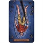 Карты Таро "Edgar Allan Poe Tarot" Reprint / Колода Эдгара Аллана По TAROMANIA 2136131876