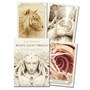 Карты Таро "White Light Oracle" Reprint / Оракул Белого Света TAROMANIA 228436938