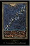 Карты Таро "Shamanic Healing Oracle" Schiffer Publishing / Оракул Исцеляющие Энергии Шаманов 1848987338