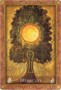 Карты Таро "Magdalene Oracle Cards New Edition" Blue Angel / Оракул Магдалины Новое издание 1551859126